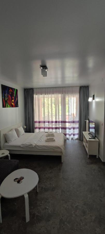 Apartamento Belle View Sinaia-Free Parking Exterior foto